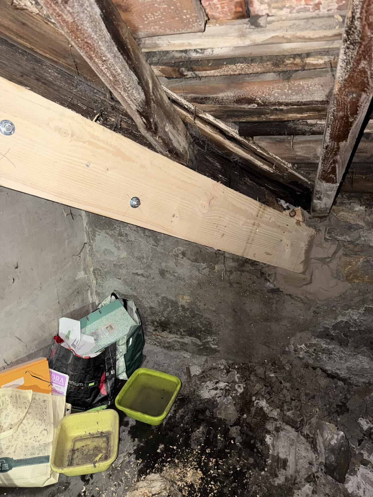 Inspection of roof framing and brick wall condition in a building.